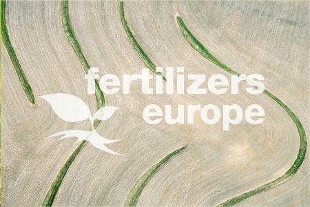 Grupa Azoty representation on the Board of Fertilizers Europe.